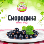 Дизайн упаковки смородины