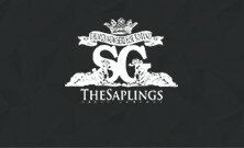 Создание интернет-магазина «The Saplings»